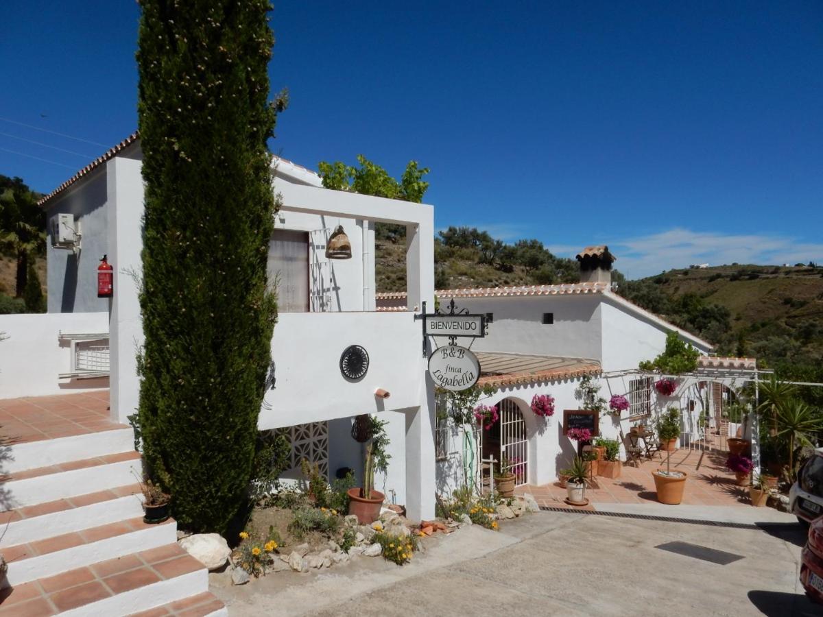 Bed And Breakfast Lagabella Sedella 외부 사진