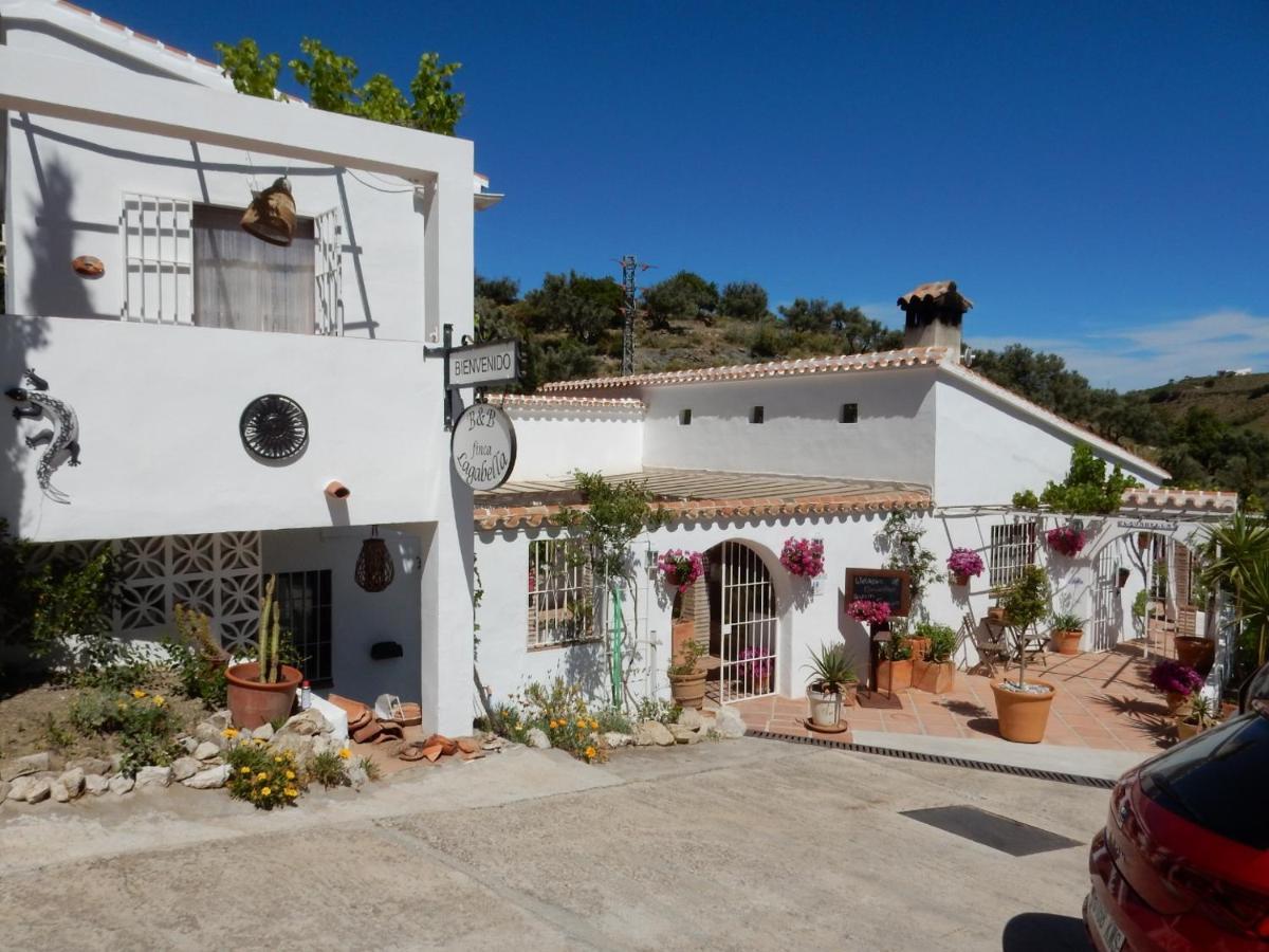 Bed And Breakfast Lagabella Sedella 외부 사진
