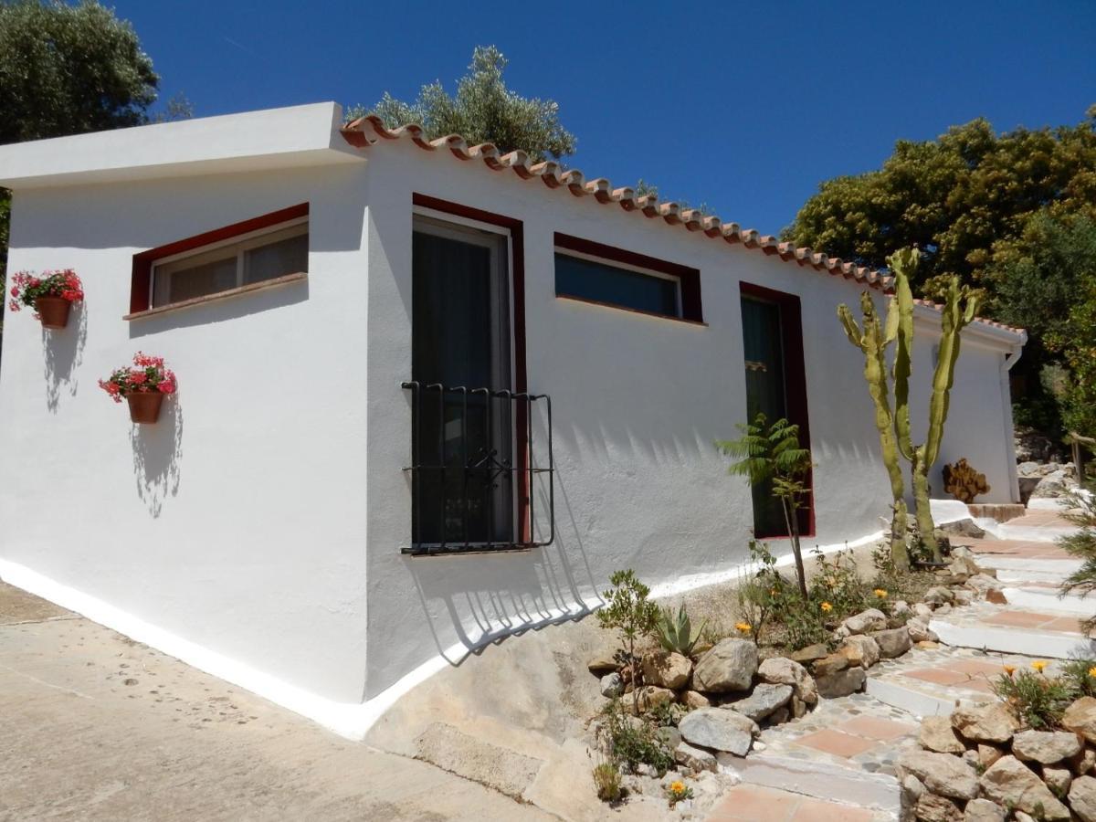 Bed And Breakfast Lagabella Sedella 외부 사진