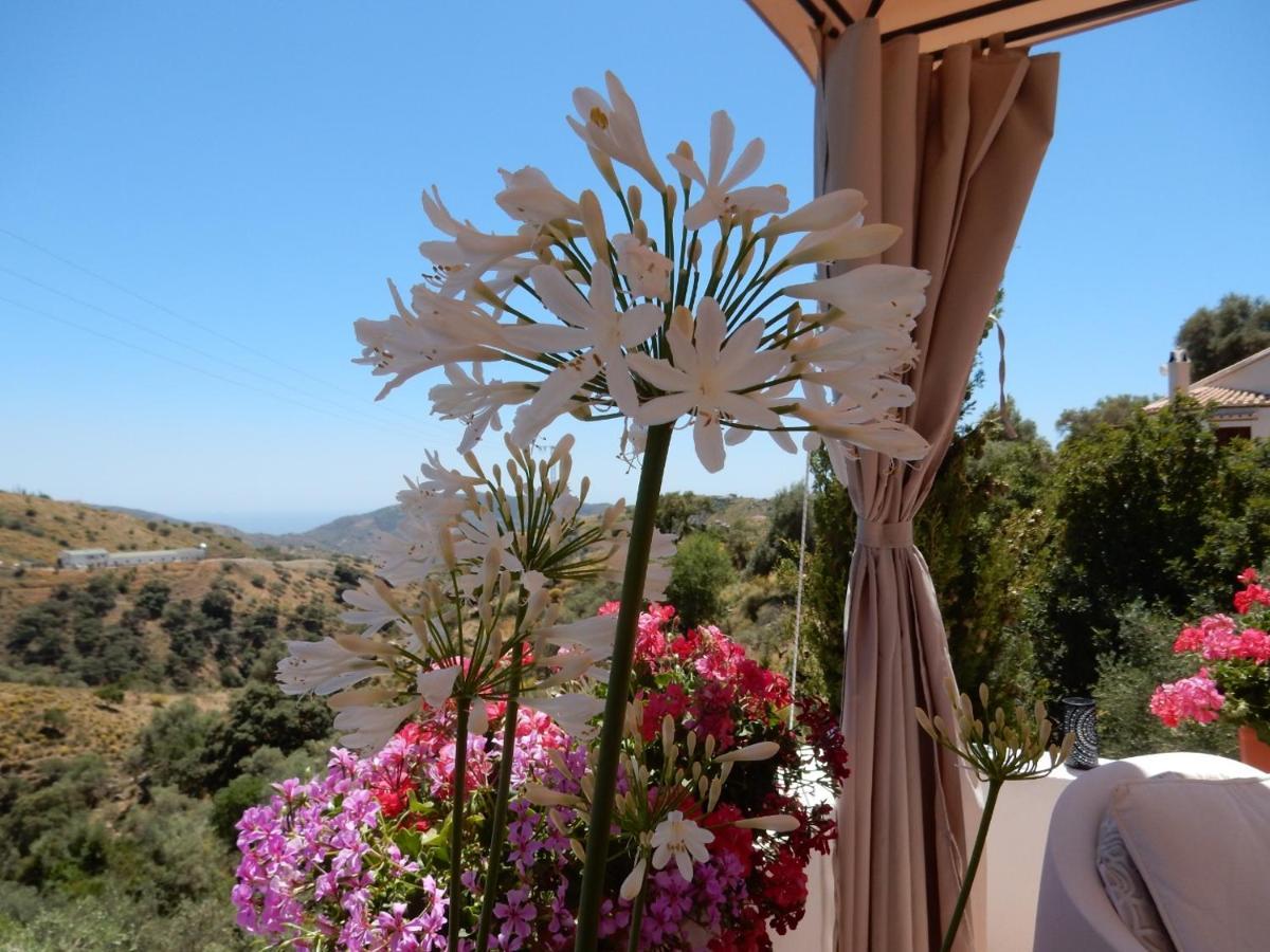 Bed And Breakfast Lagabella Sedella 외부 사진